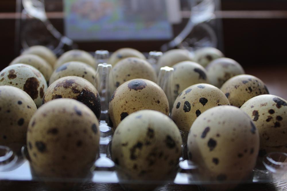 Куриные и перепелиные яйца не отличаются по своим питательным свойствам.