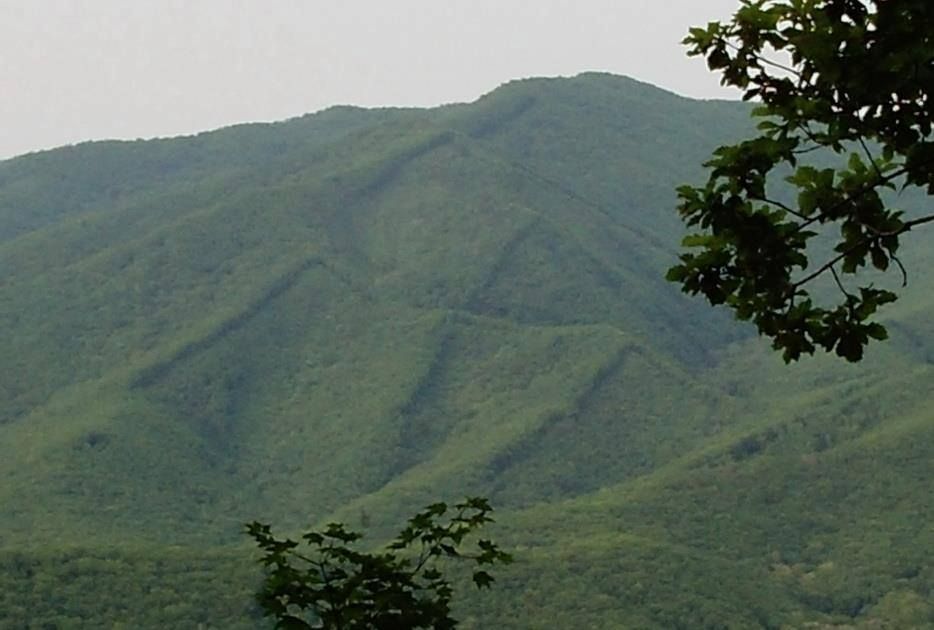 Фото Юрия Уфимцева