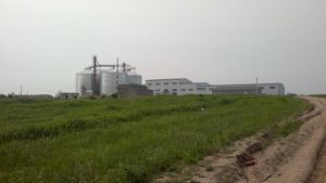 Ни строить, ни пахать: в Приморье начинается земельная паника