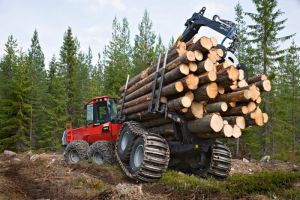 Глава Минпромторга объяснил, что будет с лесной отраслью России