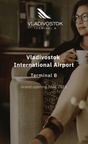 Экс-мэр Владивостока планирует открыть собственный аэропорт