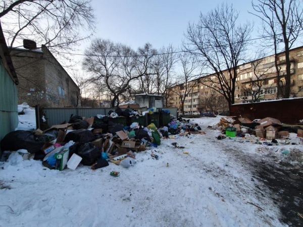 фото: primpress.ru |  Торги отправили в мусор: коллапс во Владивостоке стал невыносимым