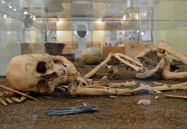 фото: dvfu.ru |  Черепа и кости: как в Приморье нашли первых людей
