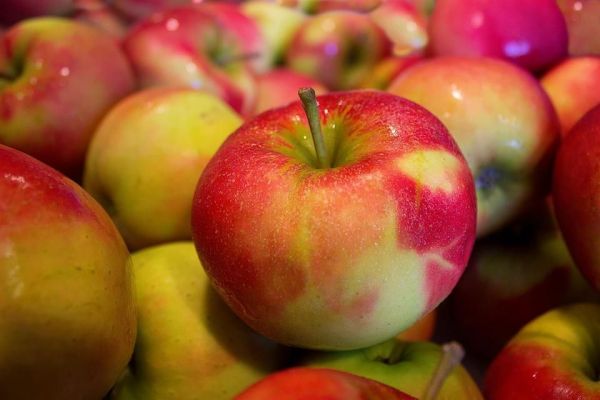 pixabay.com |  «Эти фрукты не пахнут химикалиями, в отличие от китайских»