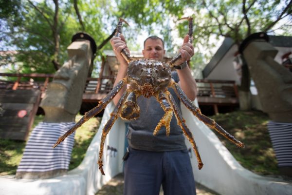 фото KONKURENT |  Коронавирус обвил клешнями рыбную отрасль Приморья