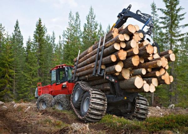 фото KONKURENT |  В крупнейшей лесопромышленной компании Приморья срубили миллиарды