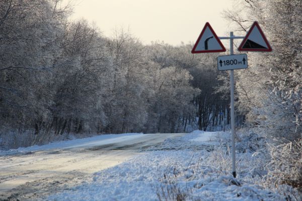 фото: KONKURENT.RU |  Синоптики пообещали скорое прекращение заморозков