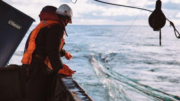 фото: KONKURENT |  Коронавирус заклевал рыбаков. На кону миллиарды