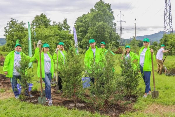 «Восточный Порт» |  «Восточный Порт» открыл ежегодный «Экомарафон» высадкой деревьев и кустарников во Врангеле