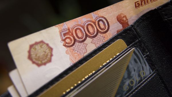 фото: pixabay.com |  «Деньги есть». Россиянам готовят новую ежемесячную выплату