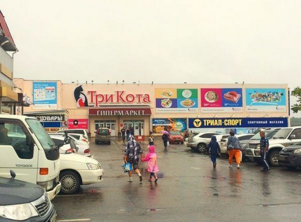 Фото: из архива KONKURENT/с сайта "Три кота" |  «Три кота» тянут за миллиард. Делового партнера Богдана обанкротили