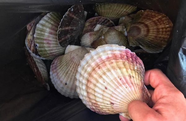 фото: primorsky.ru |  В Приморье рассказали о новых порядках любительской рыбалки