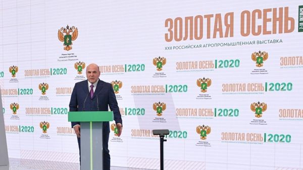 фото: правительство РФ |  Защита и поощрение Мишустина: что создал премьер