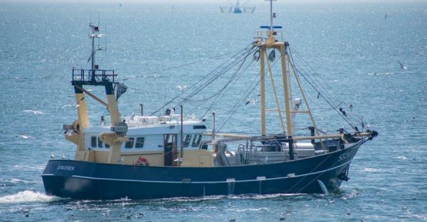 фото: pexels.com |  В Приморье конфискованные рыболовные суда выставили на продажу