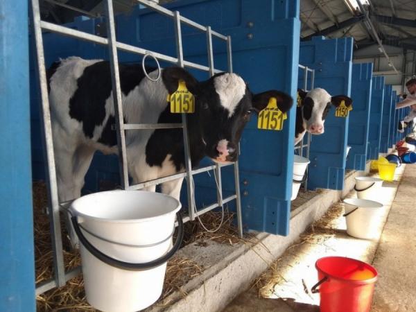 фото KONKURENT |  Закодированное молоко: к чему готовят отрасль?