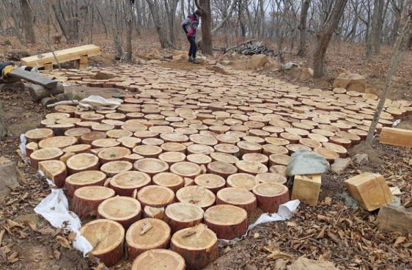 primorsky.ru |  Новый туристский объект обустроен во Владивостоке