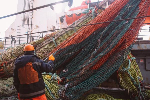 фото: пресс-служба РРПК |  РРПК закончила 2020 год с рекордным объемом добычи и производства рыбной продукции
