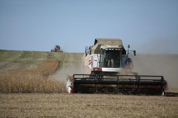 Фото: Ростелеком |  «Ростелеком» цифровизирует предприятия агрохолдинга «Агротек»