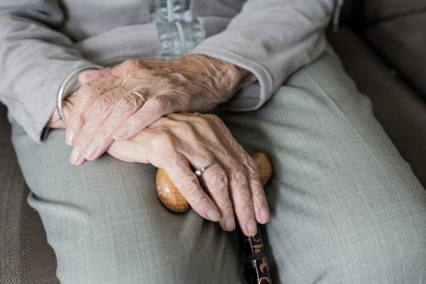 фото: pixabay.com |  "Дискриминация": эксперты дали оценку новой схеме выплат работающим пенсионерам