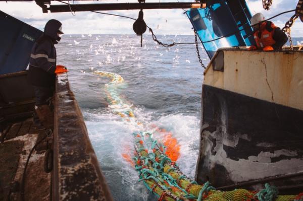 фото KONKURENT |  Рыбаки поймают топливные субсидии: Минсельхоз определился с размерами