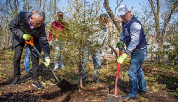 фото: vlc.ru |  Новые деревья и кустарники высадили сегодня в Покровском парке и сквере Надибаидзе