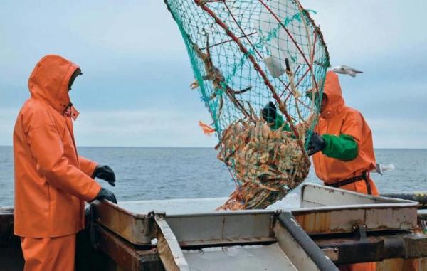фото KONKURENT |  В российских водах будут работать 75 южнокорейских рыболовных судов