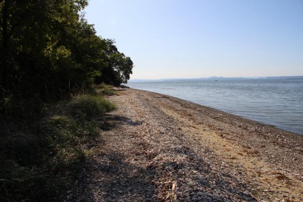 фото: Елена Фрюауф/KONKURENT.RU |  Шестаков принял новое решение по пляжам Владивостока