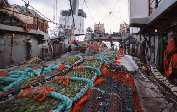 фото KONKURENT |  Китайская сторона выдвинула новые требования к российским рыбодобывающим компаниям