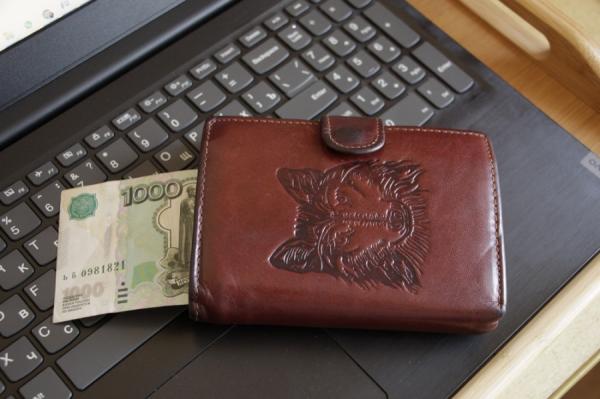 фото: Е. Фрюауф |  Штраф до 200 тыс. рублей. За что правительство будет наказывать россиян