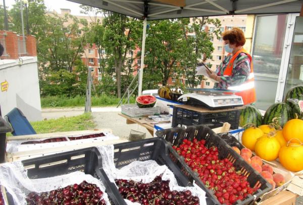 фото: А. Котлярова/vlc.ru |  Могут ли уличные торговцы узаконить свой бизнес?