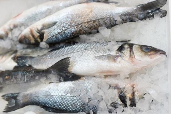 фото: пресс-служба Росрыболовства |  Рыбаков подсадят на соглашения: как планируют снижать стоимость рыбы
