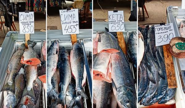 фото KONKURENT |  Рыба выпрыгивает из продовольственной корзины. Почему дорожает продукция из моря