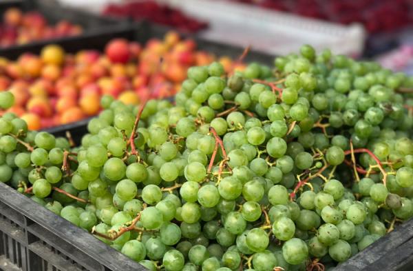 Пресс-служба Правительства ПК. |  В Приморье заработала фермерская интернет-ярмарка