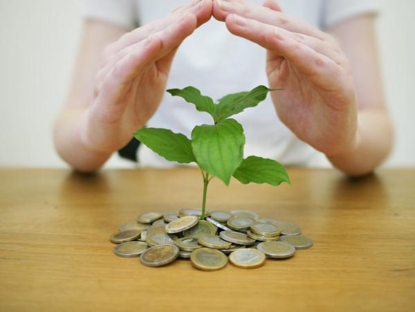 фото pixabay.com |  Сбер готов выдавать зеленые и ESG-кредиты на специальных условиях