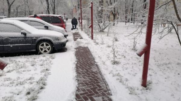 фото: административно-территориальные управления |  Константин Шестаков: обязанность каждого – убрать свою территорию