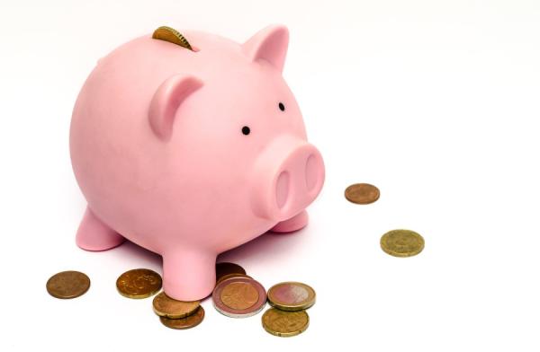 pixabay.com |  Экономист посоветовал, как сэкономить в условиях предновогоднего  роста цен