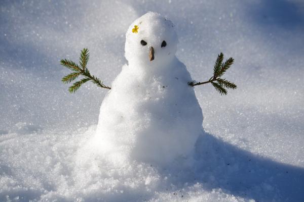фото: pixabay.com |  Потепление и аномальные морозы. Известный синоптик рассказал, чего ждать в конце декабря