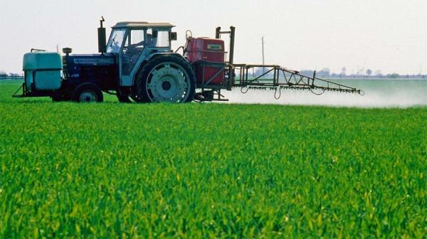 Фото: freepik.com |  Почему стоит покупать пестициды на Direct.Farm?