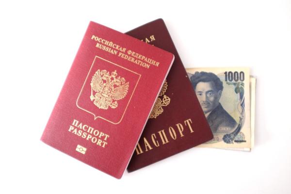 фото pixabay.com |  Стало известно, когда в Приморье начнут выдавать электронные паспорта