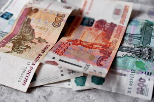 фото pixabay.com |  В Центробанке дали прогноз о будущем наличных денег в России