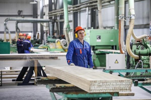 primorsky.ru |  Мишустин запретил вывоз лесоматериалов из Приморья в Японию