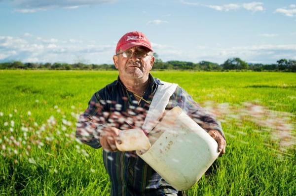 фото pixabay.com |  После решения Центробанка: власти посеют субсидии для фермеров
