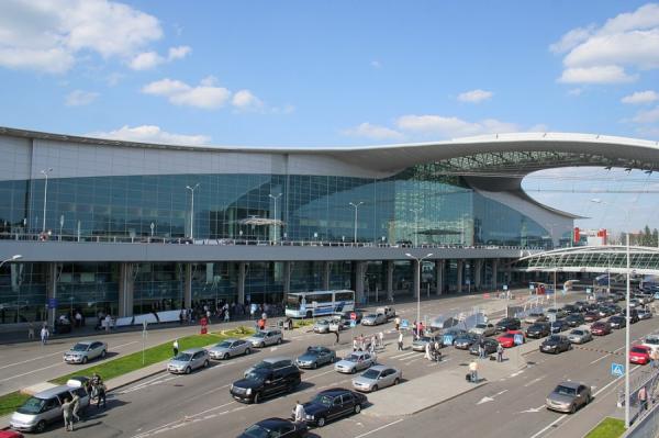 фото: ru.wikipedia.org |  «Ожидаемо». Крупнейший аэропорт России пошел на крайние меры