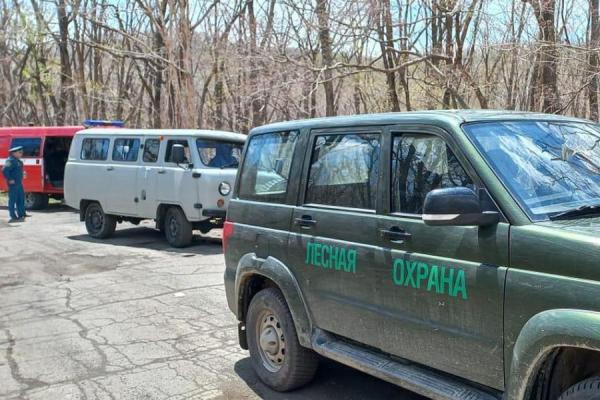 фото: vlc.ru |  Мэрия Владивостока: за сжигание мусора может последовать денежный штраф