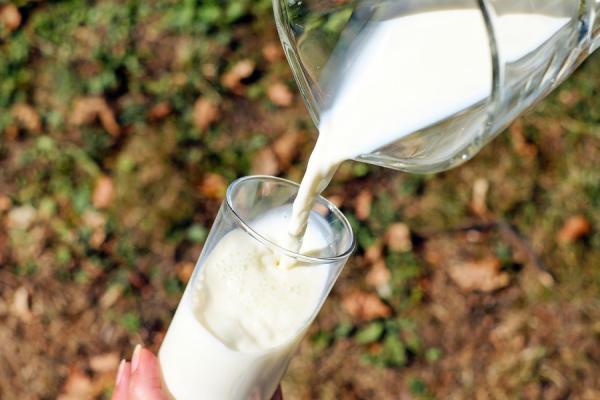 фото pixabay.com |  Это молоко лучше не брать. Роскачество предупредило россиян