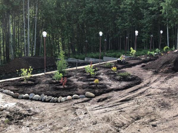 Фото: Tele2 |  Tele2: потраченного 9 мая приморцами Интернета хватило бы на 16-дневный фильм