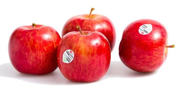 Известная новозеландская компания прекратила поставки яблок в Россию