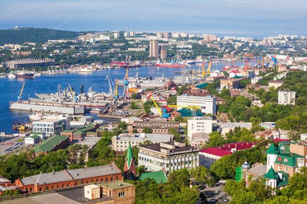 Фрипик |  В дни ВЭФ Владивосток в целях безопасности практически «изолируют»