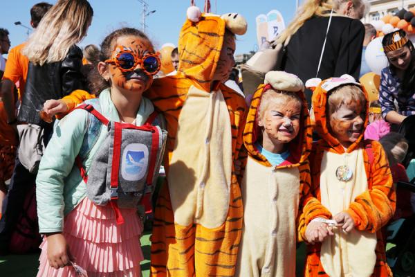 фото: vlc.ru |  Владивосток готовится ко Дню рождения тигрят