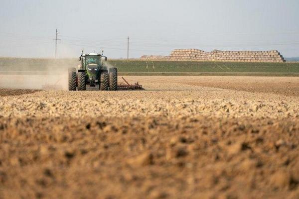 Фото: freepik.com |  Чрезвычайные виды на урожай: фермерам «приказали» планировать расходы